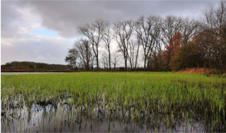 Oeverlanden Nature Reserve